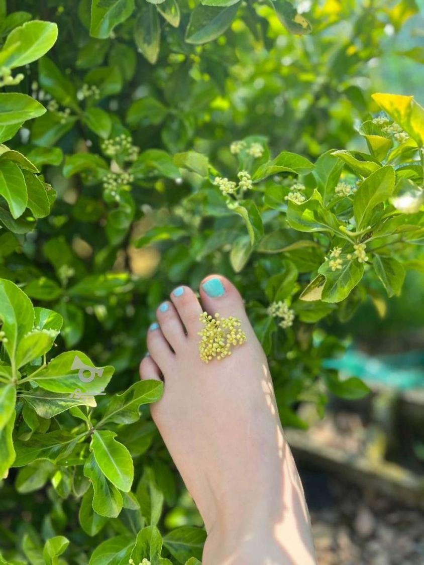 کاشت ناخن و ترمیم ناخن