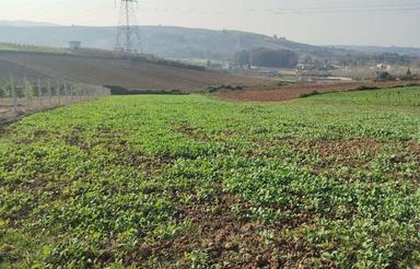 زمین کشاورزی روستای خارکش