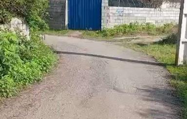 فروش زمین مسکونی 250 متر در تازه آباد - رودسر