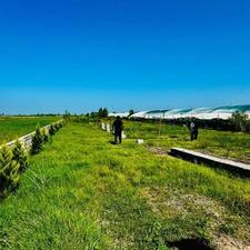 فروش زمین مسکونی 210 متر در بیشه کلا