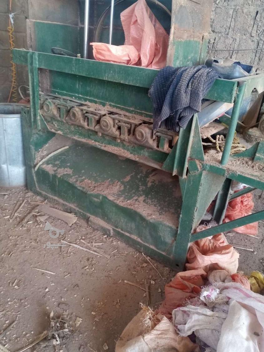 تولید پوشال مرغداری