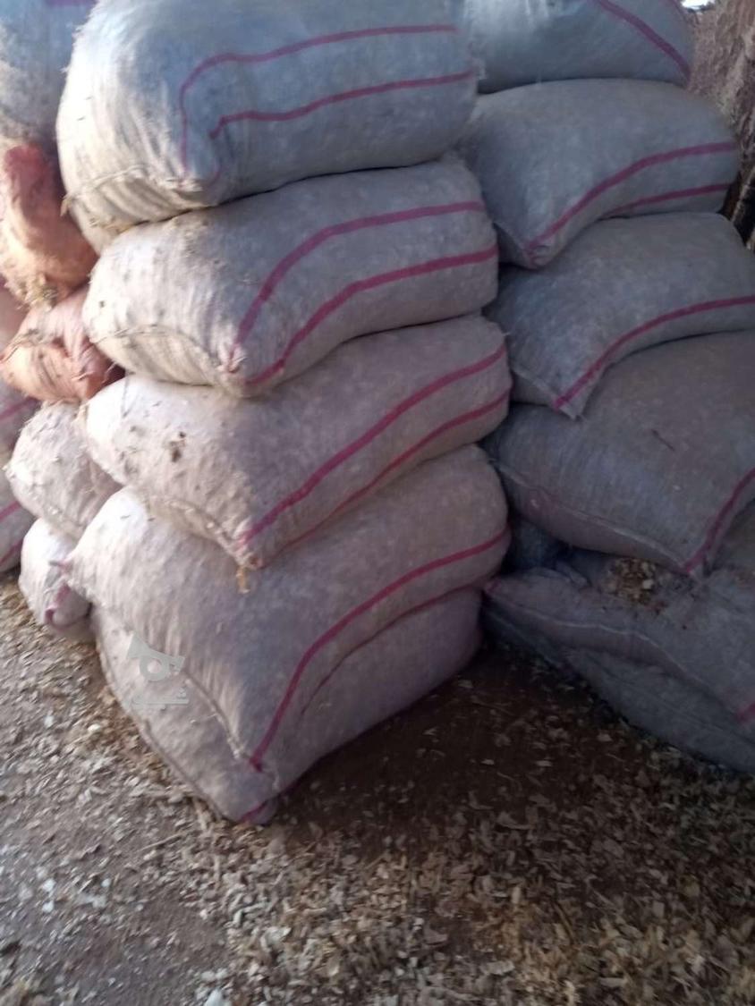 تولید پوشال مرغداری