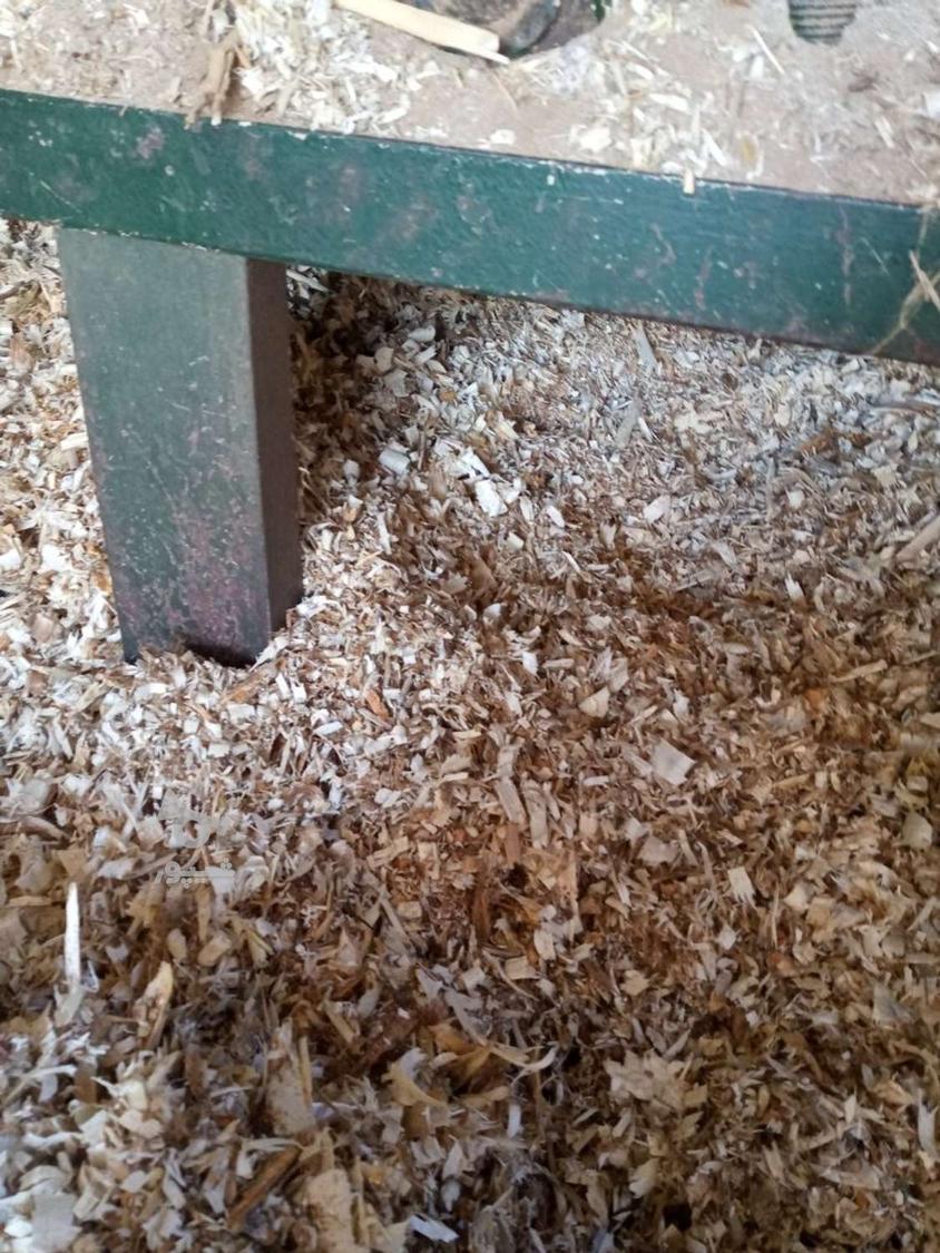 تولید پوشال مرغداری