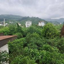 فروش ویلا باغ 1600متری در کتالم رامسر