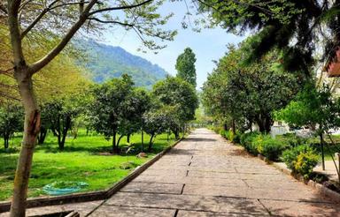 فروش 551 متر زمین شهرکی در بندپی نوشهر زیبا