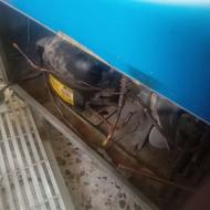 تعمیر وسرویس