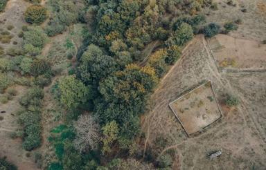 زمین مسکونی 913 متر در شورمست