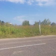 فروش زمین 11000 متر در جاده دریا مسیر پنبه چوله