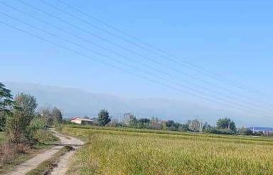 فروش زمین صنعتی جاده قدیم آمل به بابل 4هکتاری