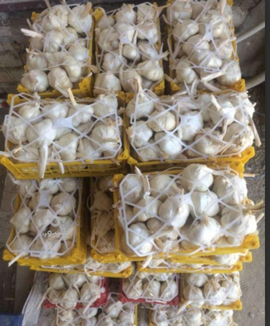 سیرهمدان وکشمش