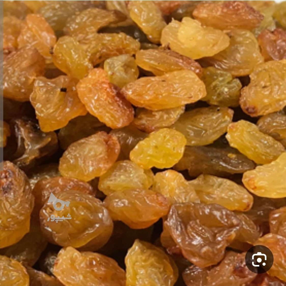 سیرهمدان وکشمش