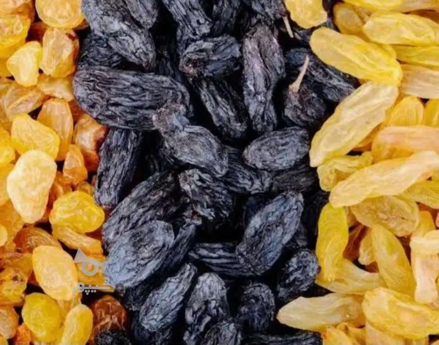 سیرهمدان وکشمش