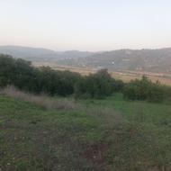 زمین فروشی با مجوز مرغداری گوشتی