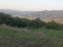 زمین فروشی با مجوز مرغداری گوشتی در شیپور