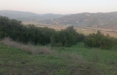 زمین فروشی با مجوز مرغداری گوشتی