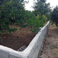 فروش زمین مسکونی 600 متر در روستای مرمت