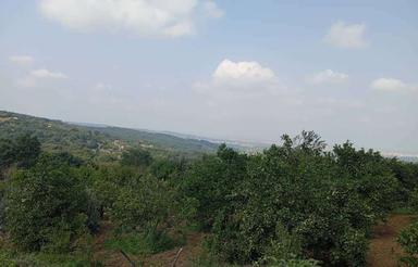 فروش زمین مسکونی 600 متر در روستای مرمت