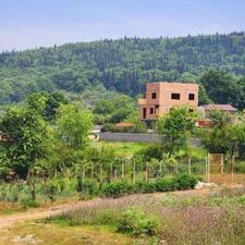 فروش زمین 500 متر در تنگ لته جنب باغی زیبا