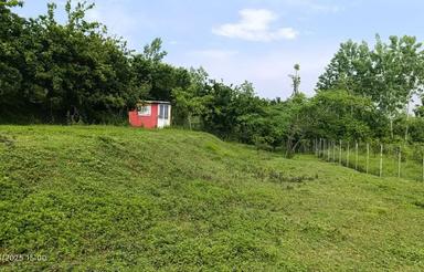 600 متر، داخل بافت با ویوی ابدی ، جاده فیروزجاه ، نقد واقساط