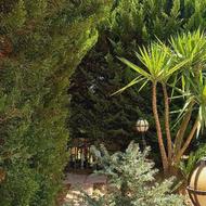 فروش زمین 270 متر در عباسا