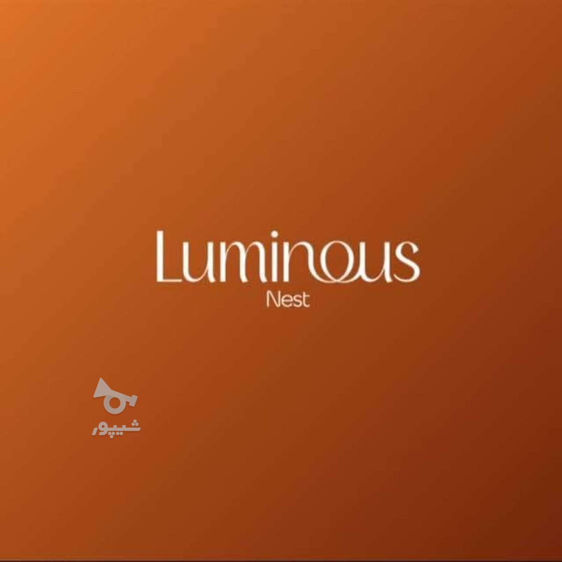 دعوت به همکاری در فضای آرام و حرفه ای لومینوس نست - undefined