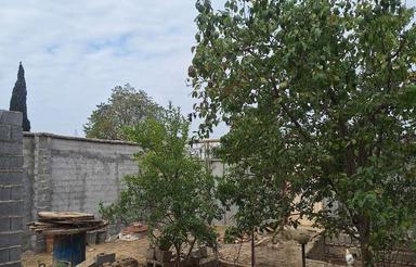 زمین مسکونی در بافت شهری 22بهمن سند تک برگ