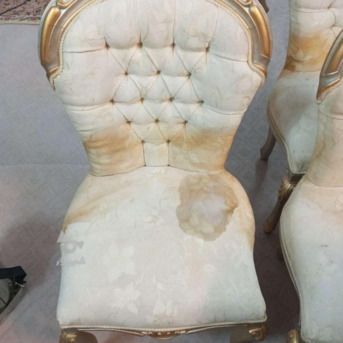 شرکت نظافتی و مبل شویی شایان مشهد