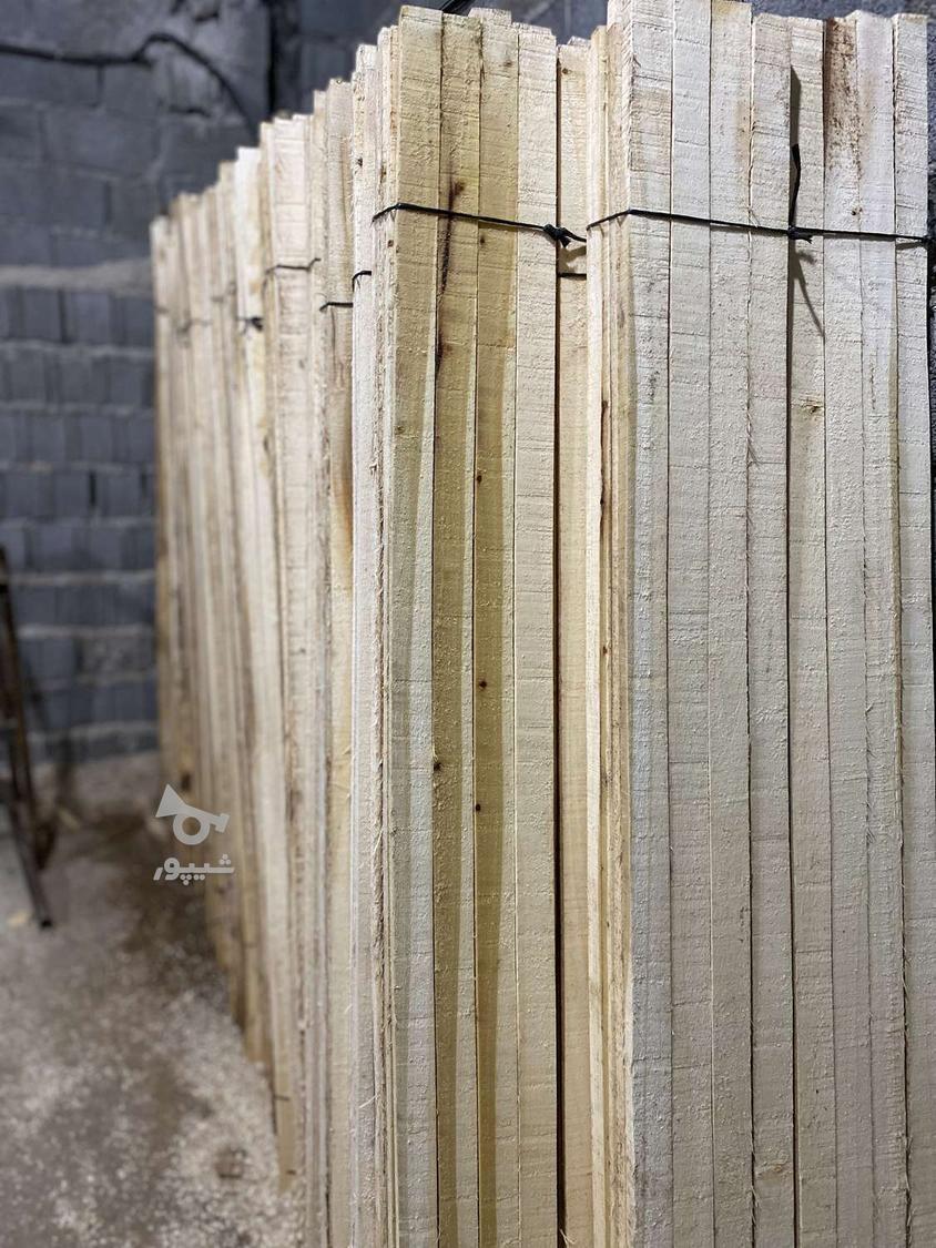 چوب سفید شمال ، ابعادی