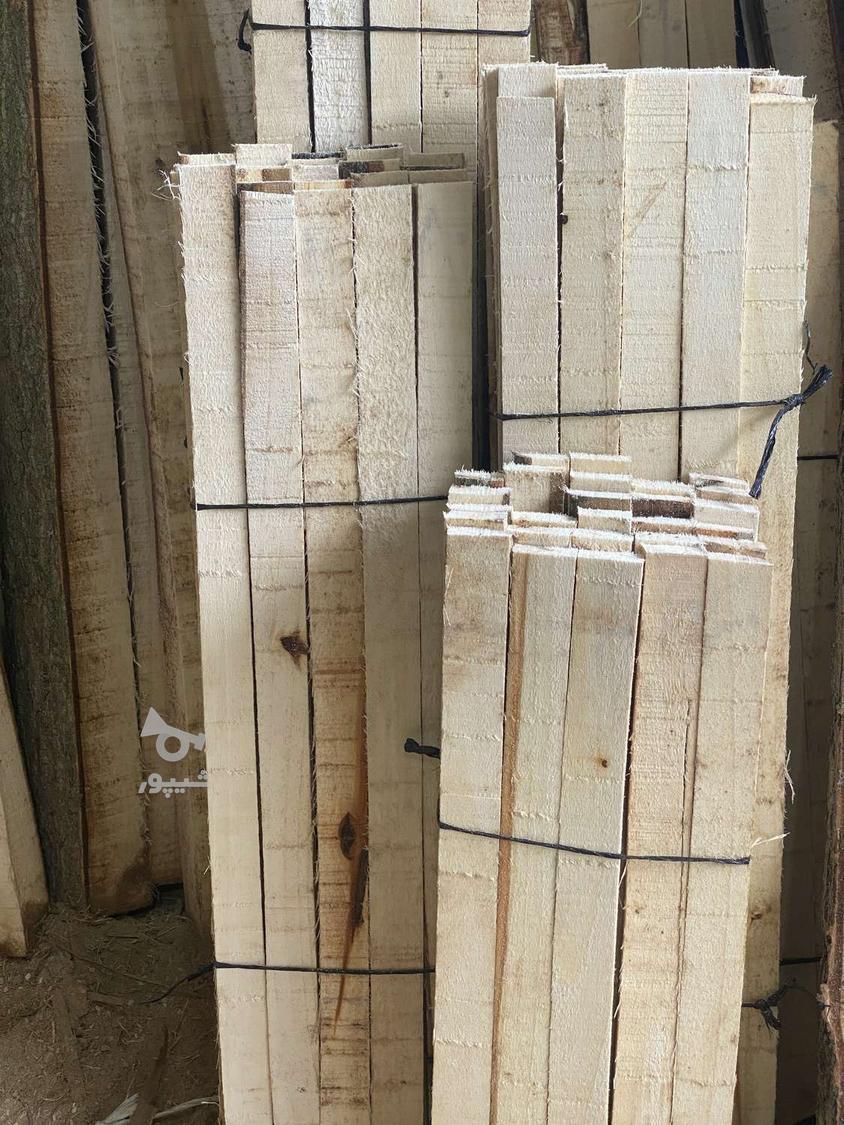 چوب سفید شمال ، ابعادی