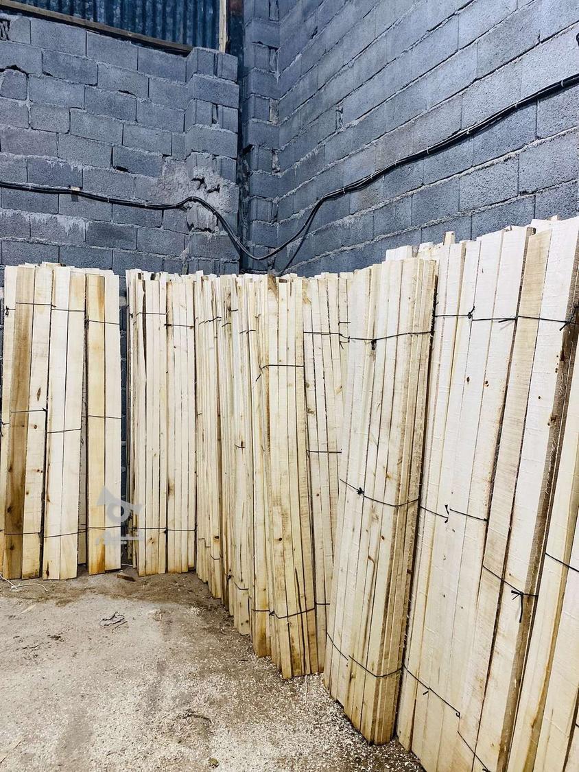 چوب سفید شمال ، ابعادی