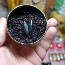 مهره مار اصل برنجی افعی سیاه بابخور