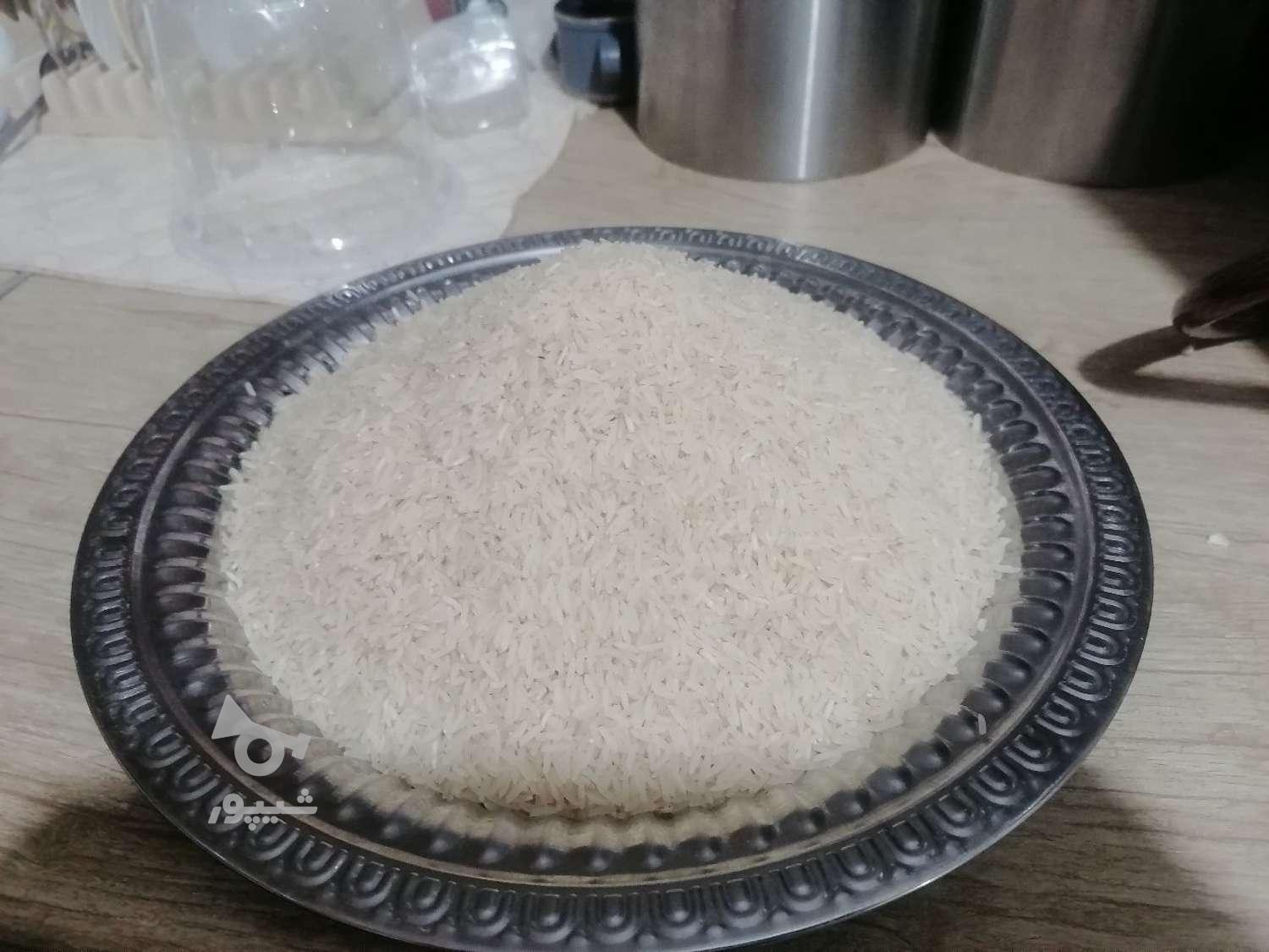 برنج فجرسوزنی(فروشی)