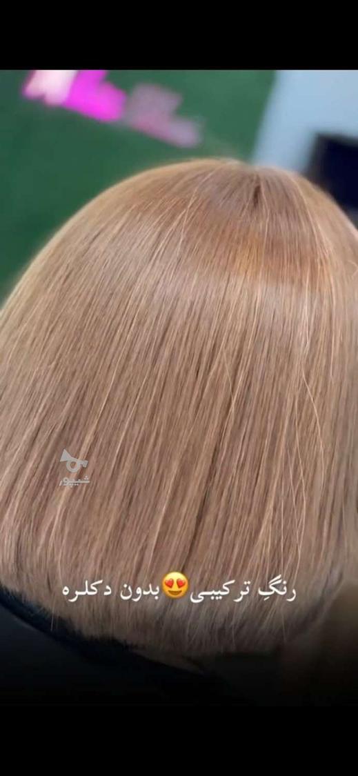 دستیار کراتین و پروتئین - undefined