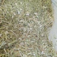 فروش کاه لوبیا قرمز