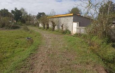 فروش زمین کشاورزی 8000 متر در جاده اصلی