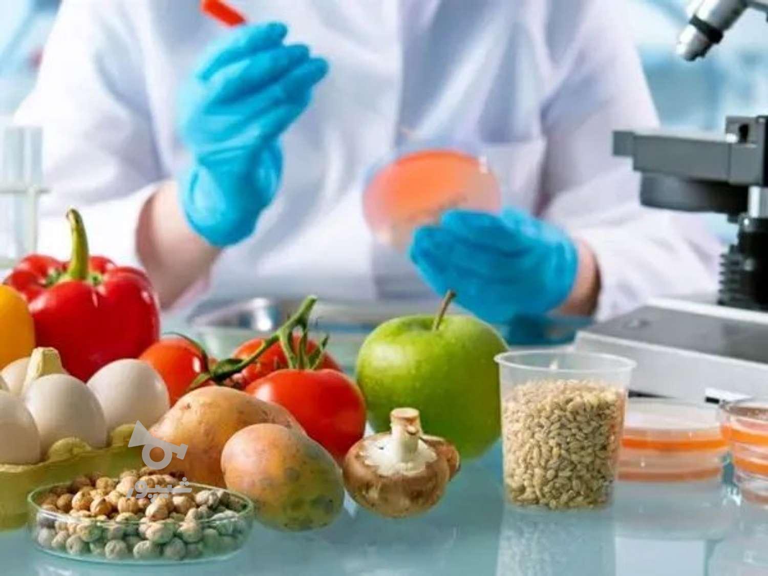 پیگیری کارهای اداری در صدد احداث کارخانه صنایع غذایی هستند - undefined