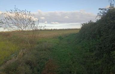 فروش زمین کشاورزی 3000 متر در جاده اصلی