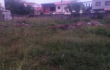 فروش زمین مسکونی 1507 متر در بلوار بسیج