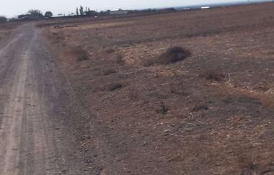 زمین کشاورزی نزدیک بافت و امکانات