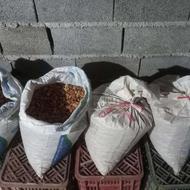 فروش باقلا خشک تضمینی،بسیارزودپز