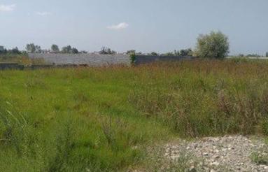 زمین سیاهرود مناسب سرمایه‌گذاری چسبیده به بافت