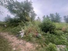 فروش زمین باغی 2717 متر در شیرمحله در شیپور