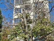 175 متر/تک واحدی/شمال یوسف آباد در شیپور