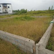 فروش زمین مسکونی 300 متری در کوی رسول آباد