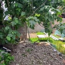 زمین مسکونی 150 متر بر 10 متری اواسط آیت