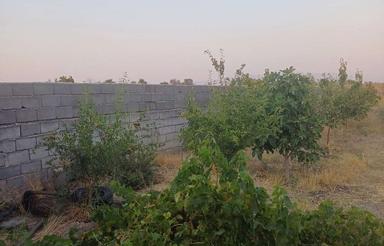 1500 متر باغ نزدیک جاده