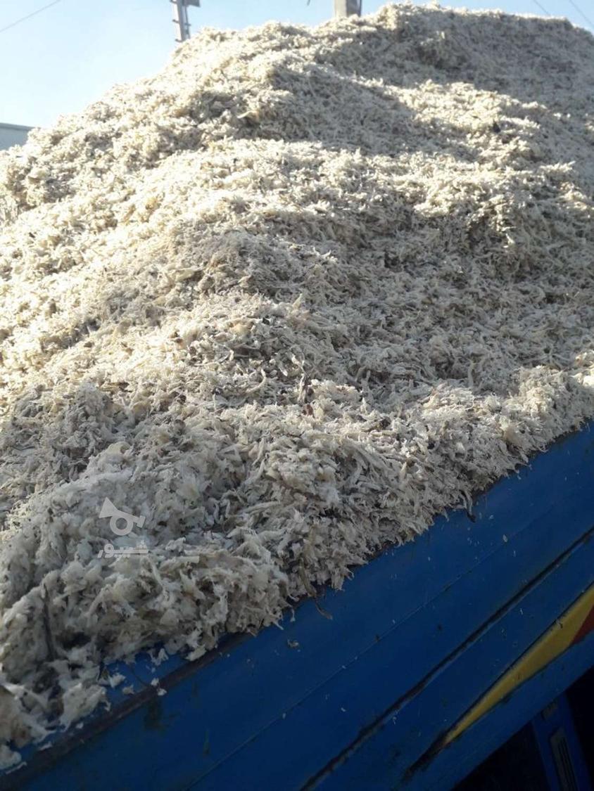 فروش تفاله چغندر قند و سبوس ذرت و چغندر خرد شده باقیمت مناسب