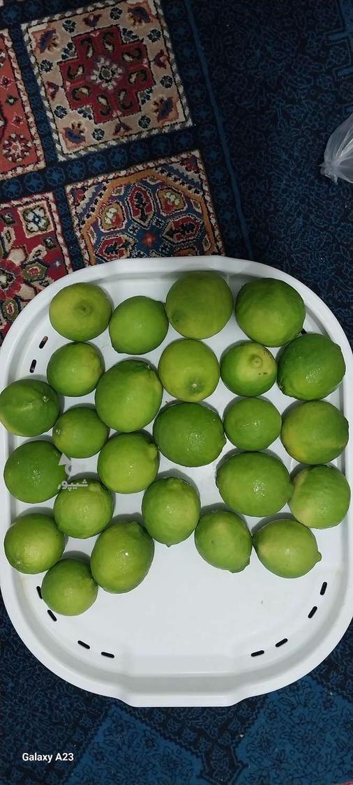 لیموترش طبیعی و ارگانیک