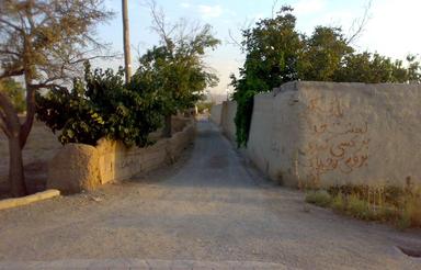 زمین برای سرمایه گذاری در بوستان زندگی