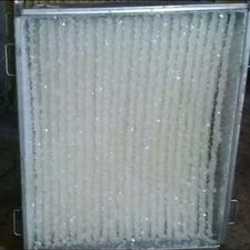 سرمایه گذار جهت تولیدی نبات